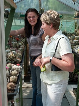  Kakteenhock bei Meier 2010